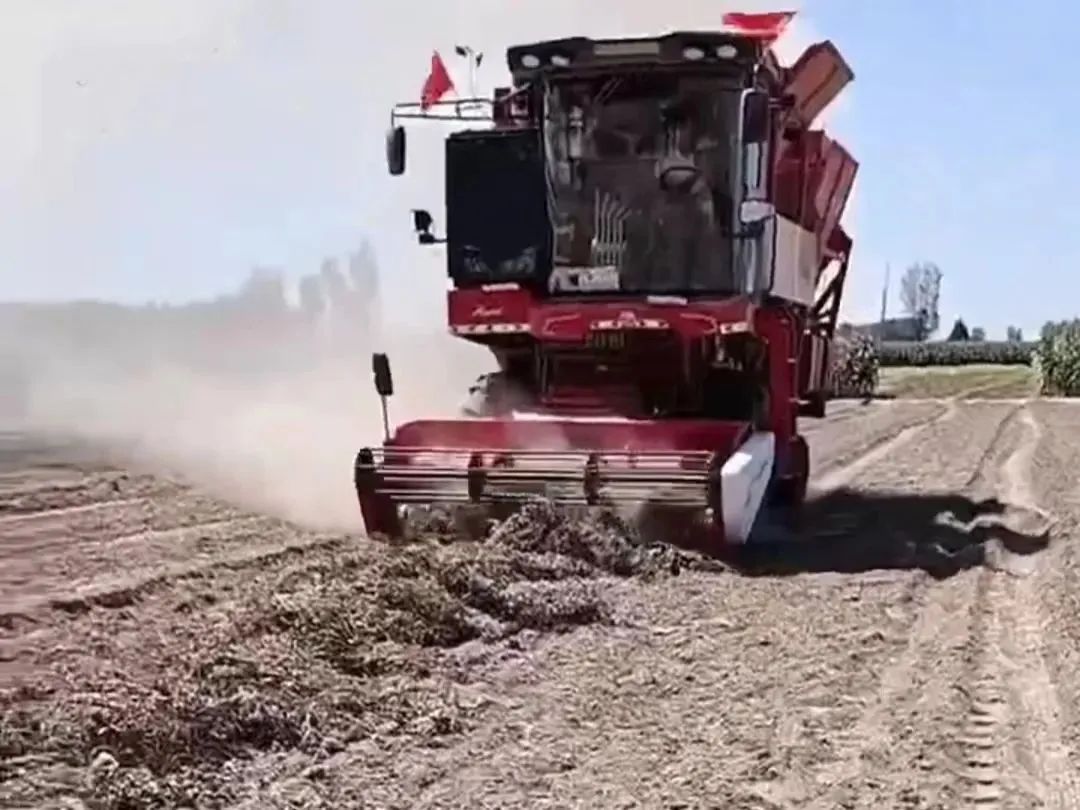 Zhonglian Peanut harvester take me around the country