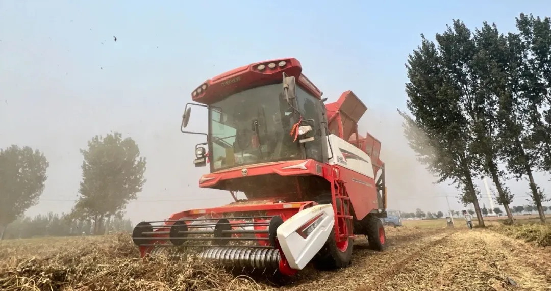 Feng, an agricultural machinery operator in Zhumadian, Henan: Just for the ten or so acres of peanut fields at home, I bought a Zhonglian peanut harvester.(图2) 640 (1)_看图王.jpg