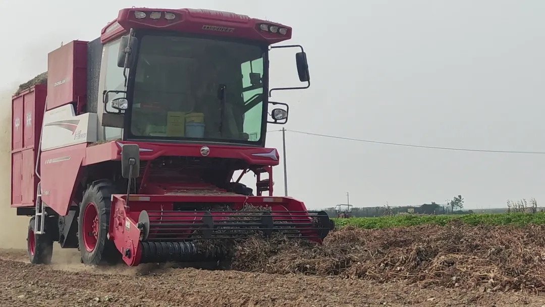 Feng, an agricultural machinery operator in Zhumadian, Henan: Just for the ten or so acres of peanut fields at home, I bought a Zhonglian peanut harvester.(图3) 640 (2)_看图王.jpg