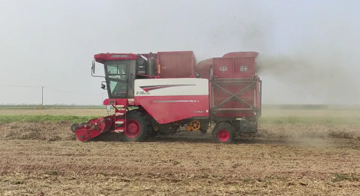 Master Sun, Tongliao Inner Mongolia: Skip Costly Detours by Learning from Fellow Operators — Pick Zhonglian Harvest Peanut Harvesters