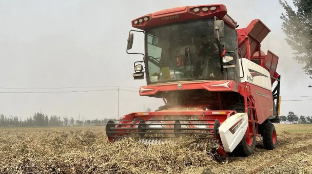 Fuxin Zhangwu Master Wu: A seasoned farmer mechanic goes newbie and reaps a bountiful harvest in the first season(图1) image.png